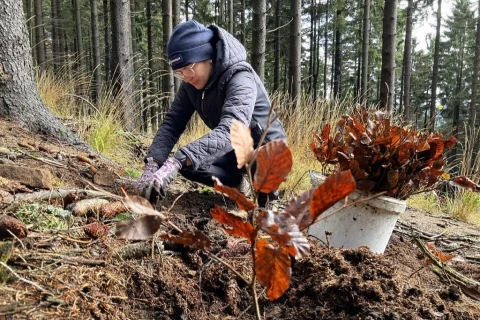 Pojďte s námi sázet stromky do Beskyd