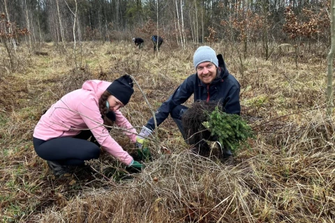 Pojďte s námi sázet stromky k obci Dlouhopolsko