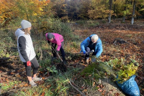 Pojďte s námi sázet stromky v okolí Dolních Břežan