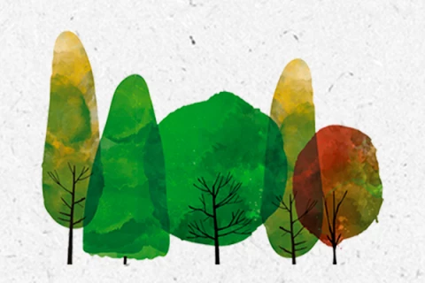 Nadace O2 spustila nový ročník grantové výzvy Sázej stromy. Obcím i školám rozdá půl…